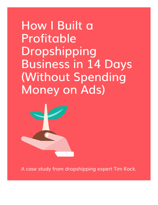 How i built Profitable dropshipping