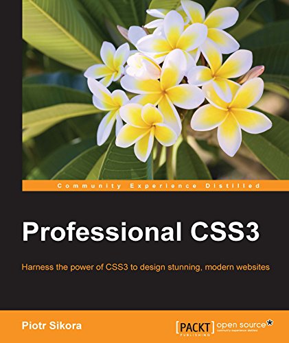 CSS3 Professional